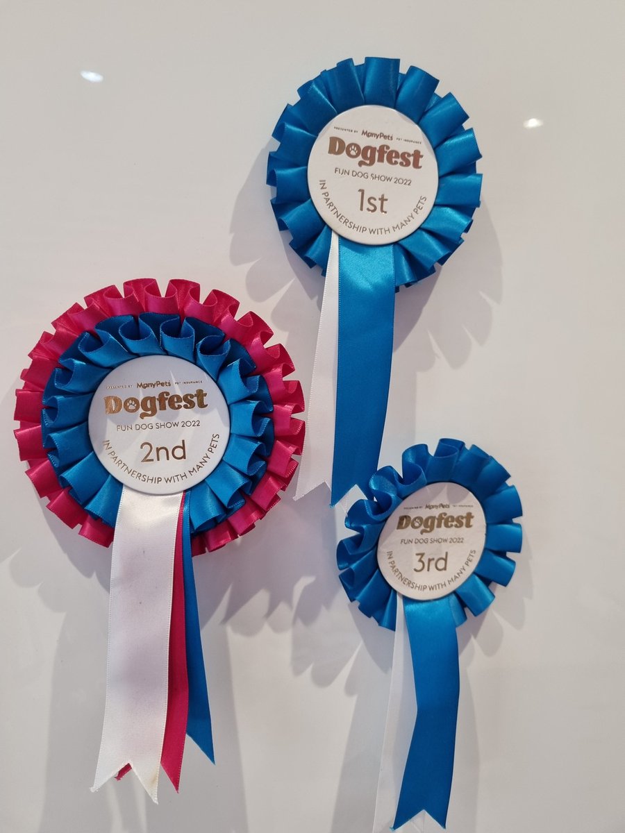 So proud of Pumpkin ❤️♿️🐾
Come and see her at DogFest  Tatton Park, Cheshire June 17th use Pumpkinpower to receive 20% off your tickets.
We will be with BookYourPet Haybale races.
Join in the fun at 2pm... Disabled dog races ♿️... showing the world how amazing they are.