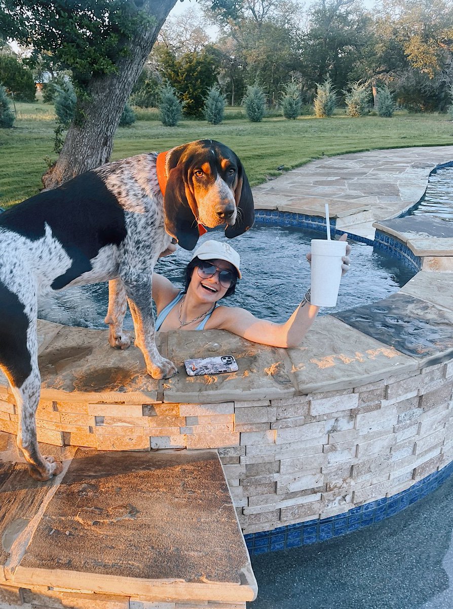 mf_marie_'s tweet photo. a good hound, solves all life problems. https://t.co/IKFASTbY0r