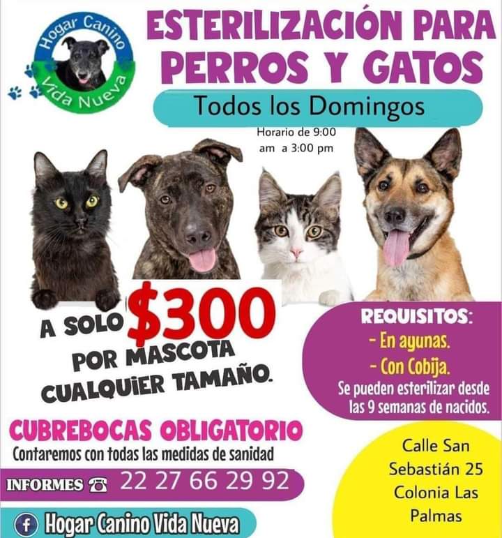 #SéResponsable
#Esteriliza
#AdoptaNOcompres 🐶🐶🐶
#PUEBLA