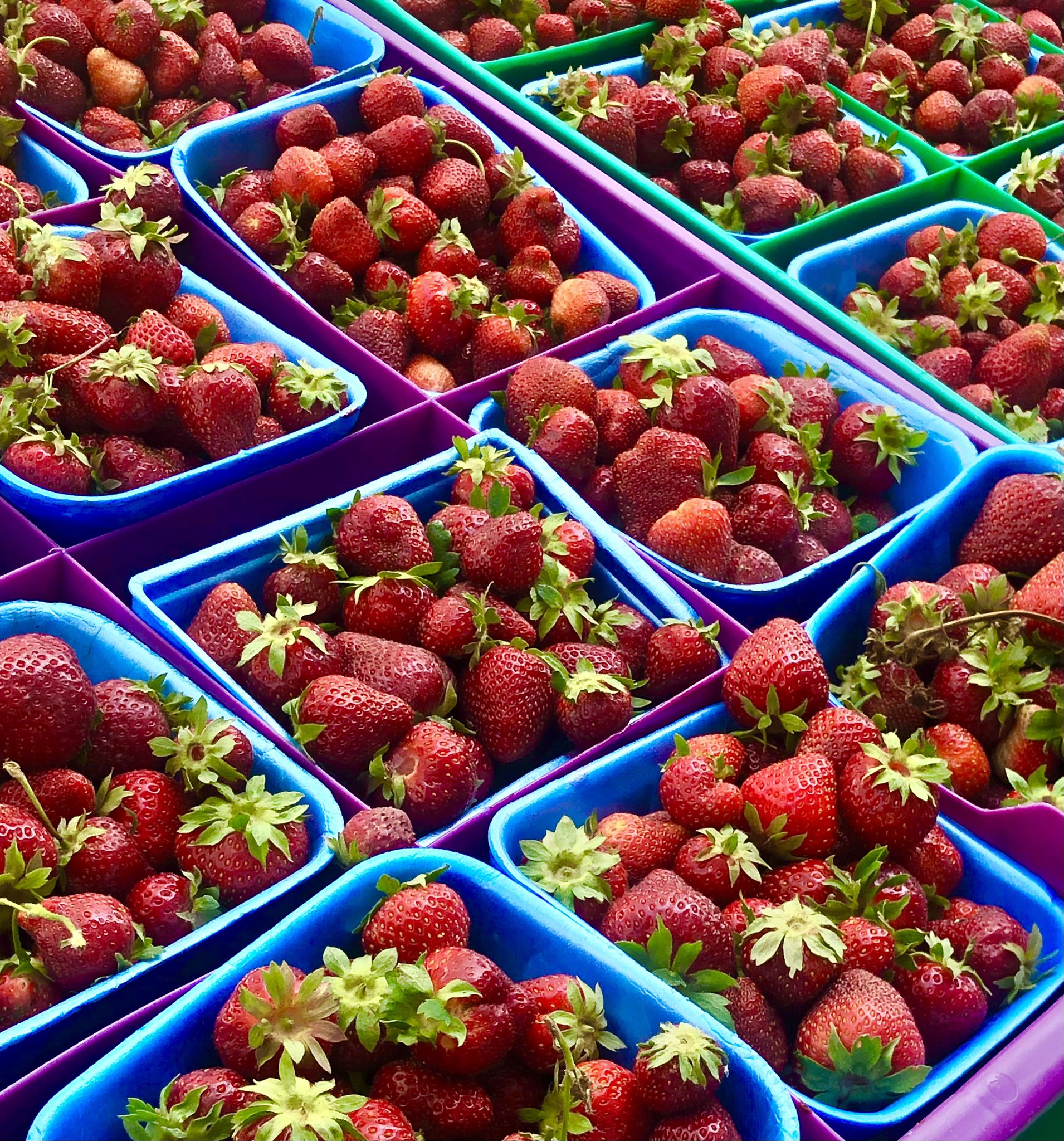 Kamloops Farmers Mkt on Twitter "Strawberry 🍓 season has started in
