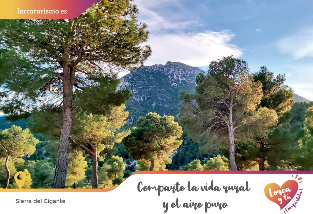 lorcaturismo_es's tweet photo. ❤Enamórate de la belleza incomparable de los imponentes parajes naturales🌳 de nuestro municipio
·
ℹ️ https://t.co/EuJQ0xuZC0
·
#Lorca #ParajesNaturales #VivirSentirVolver https://t.co/i2OYtTVxnF