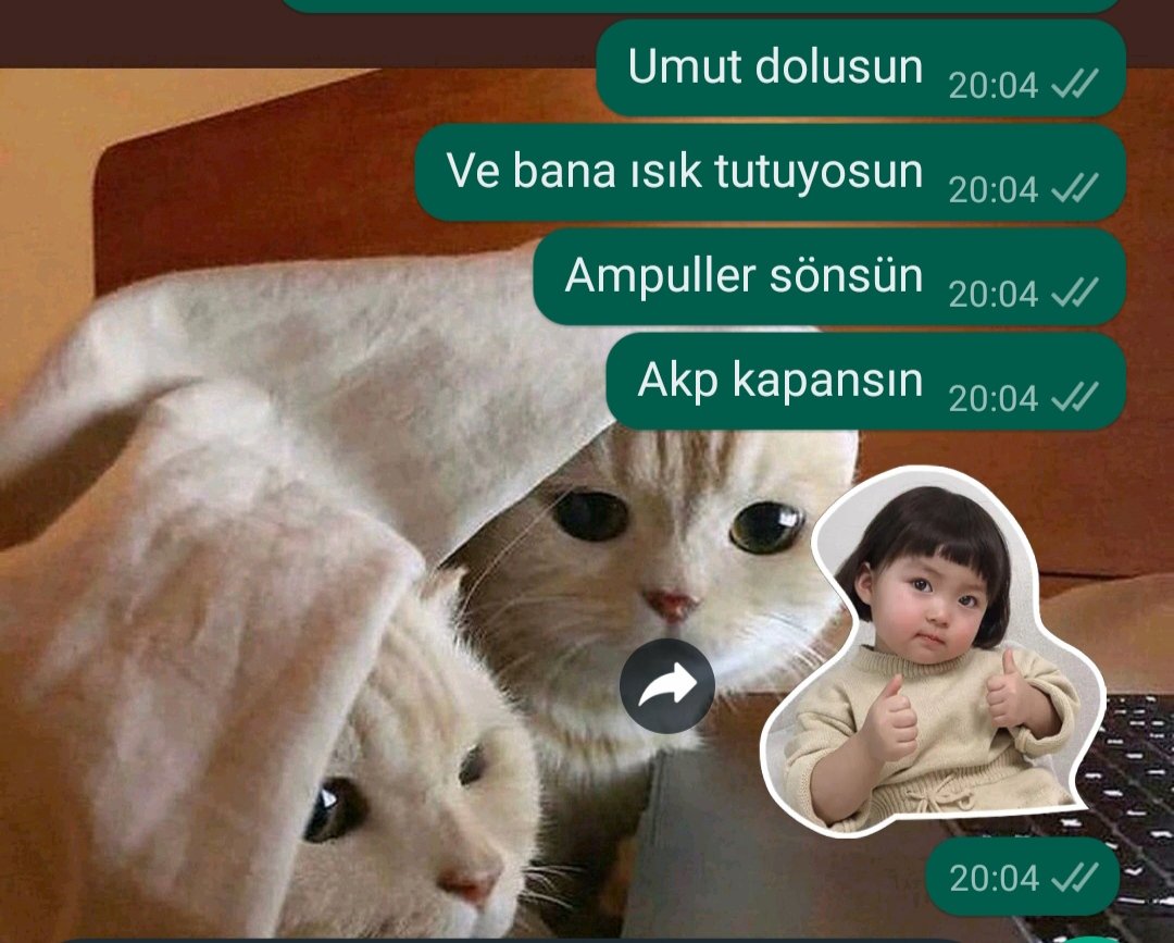 iremmerimi's tweet photo. Türkiye'de yasiyorsan romantizme de siyaset karisir kardesim https://t.co/Xa7Sqi9uNj
