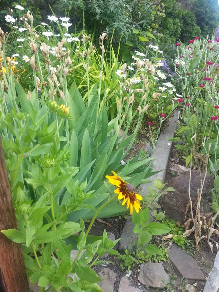 LynnSinclair15's tweet photo. Peace &amp; Prosperity https://t.co/HrMrsecvTt