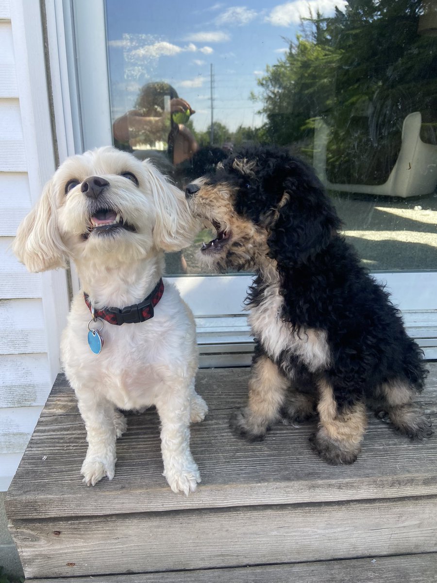 I can be your angle… or yuor devil