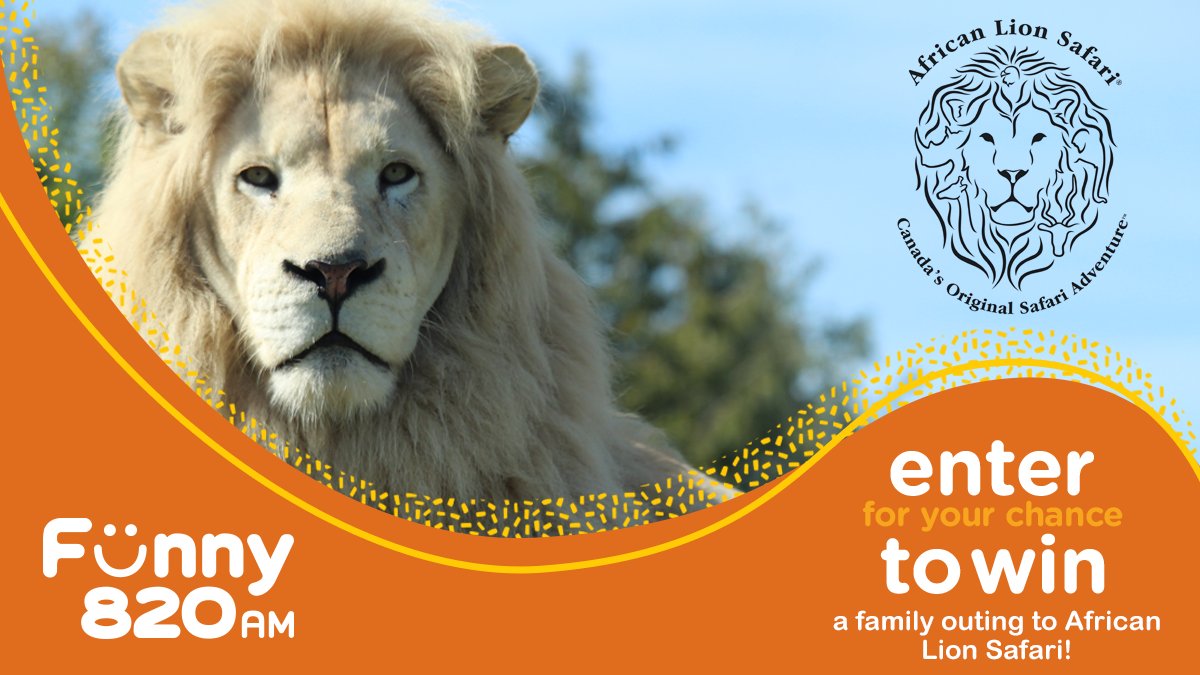 Funny820 tweet media