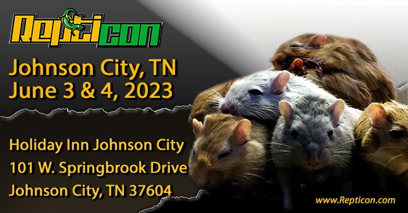 Repticon Johnson City is a great way to spend this weekend!