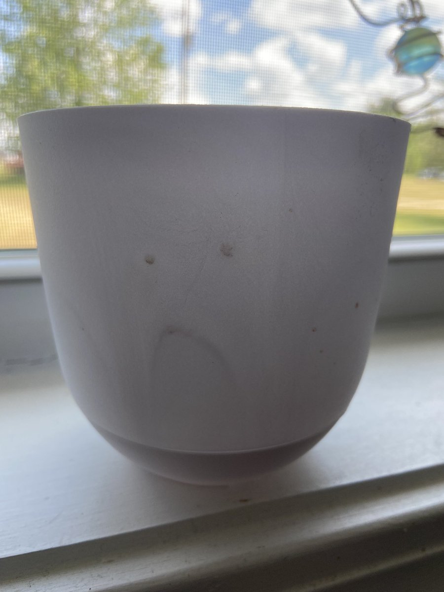 The latest mystery is who drew the sad face on this empty pot…no one in my house is claiming it was them. 😬