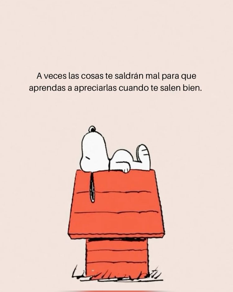 PropositoyVida's tweet photo. 5. https://t.co/WRsxV7nmqn