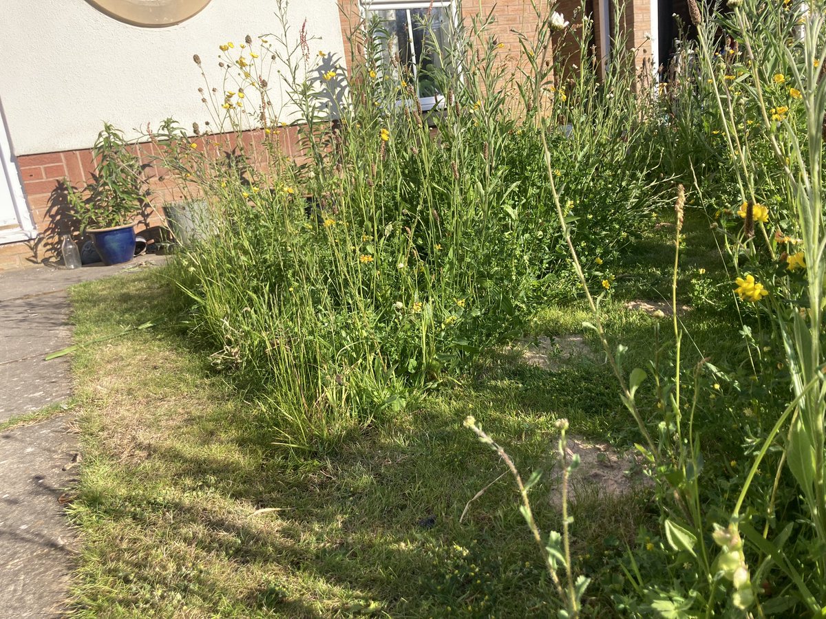 Tom Jacques tweet media