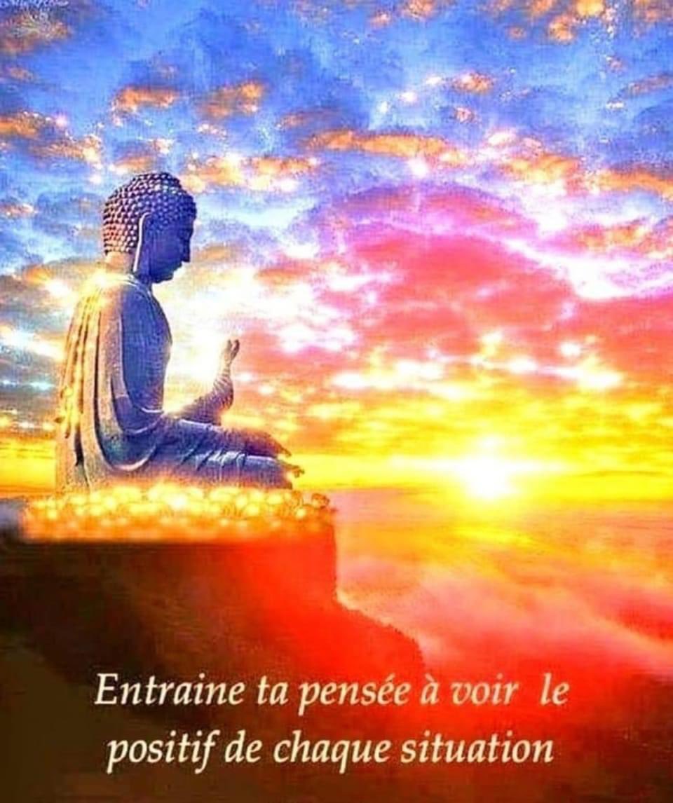 annabeille78's tweet photo. ✨🙏✨ https://t.co/nep3mHuw1K