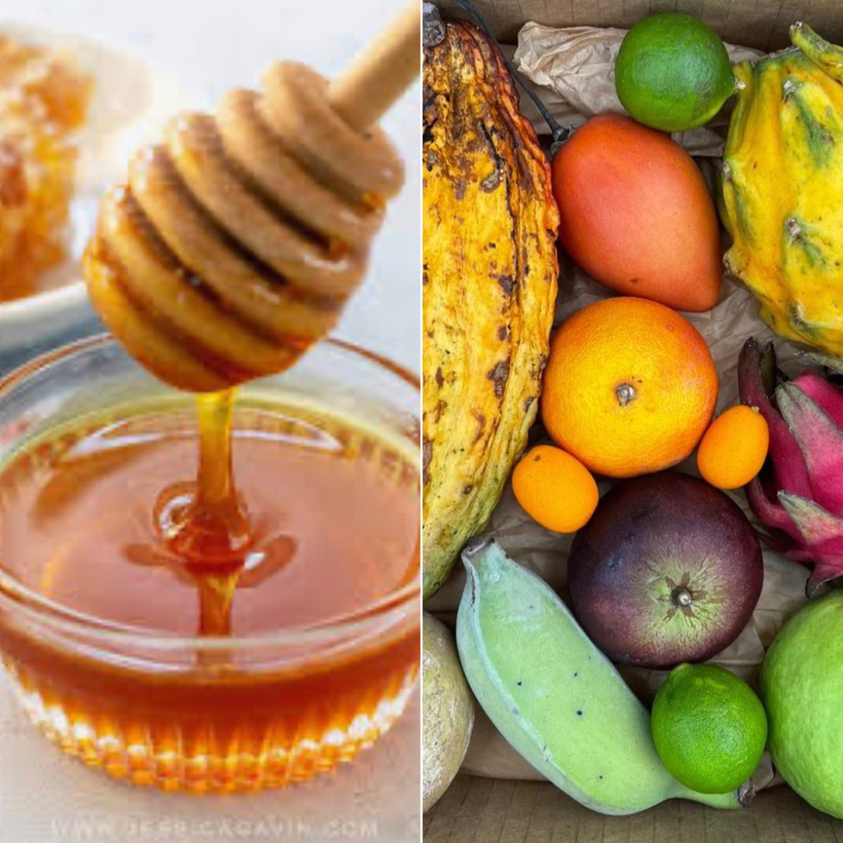 Dr Shawn Baker 🥩 on Twitter "Fruit and Honey? Have you tried to