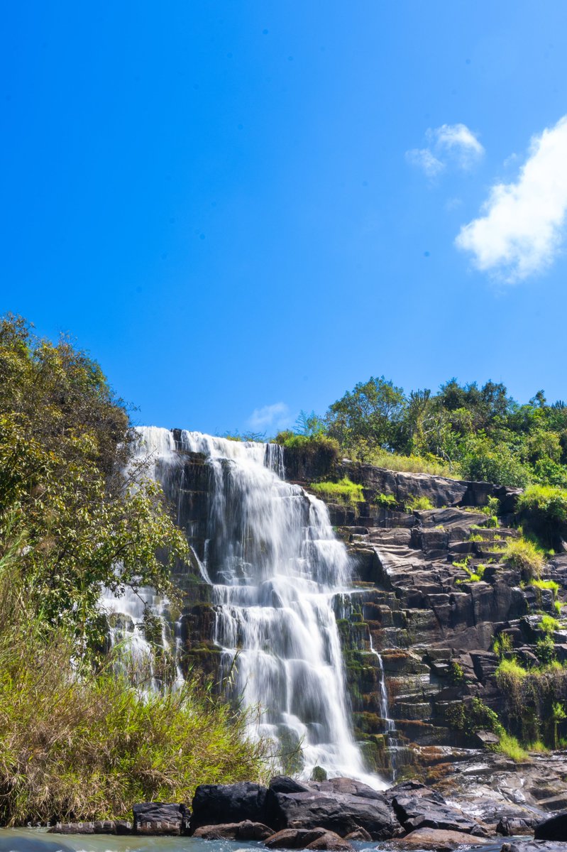 Ssenyonyiderick's tweet photo. I have told and captured countless stories about Aruu falls, nestled within a pristine natural setting, this picturesque waterfall is a true romantic oasis. 

With a series of five falls horizontally arranged, it offers a breathtaking sight that will leave you in awe. Whether you're a hiking enthusiast, a couple seeking a romantic getaway, or simply a traveler seeking beauty and tranquility, Aruu Falls is the perfect destination for you.

Located approximately 55 kilometers from Gulu City that’s like 30-45 min drive, what I can say It's a relatively short and scenic drive.

The crystal-clear waters plunge gracefully, creating a mesmerizing display of nature's power and beauty. Whether you're seeking adventure, relaxation, or a romantic escapade, this captivating destination has something for everyone.

So, grab your loved one's hand, put on your hiking boots, come explore Northern Uganda.

#ExploreNorth #ExploreUganda