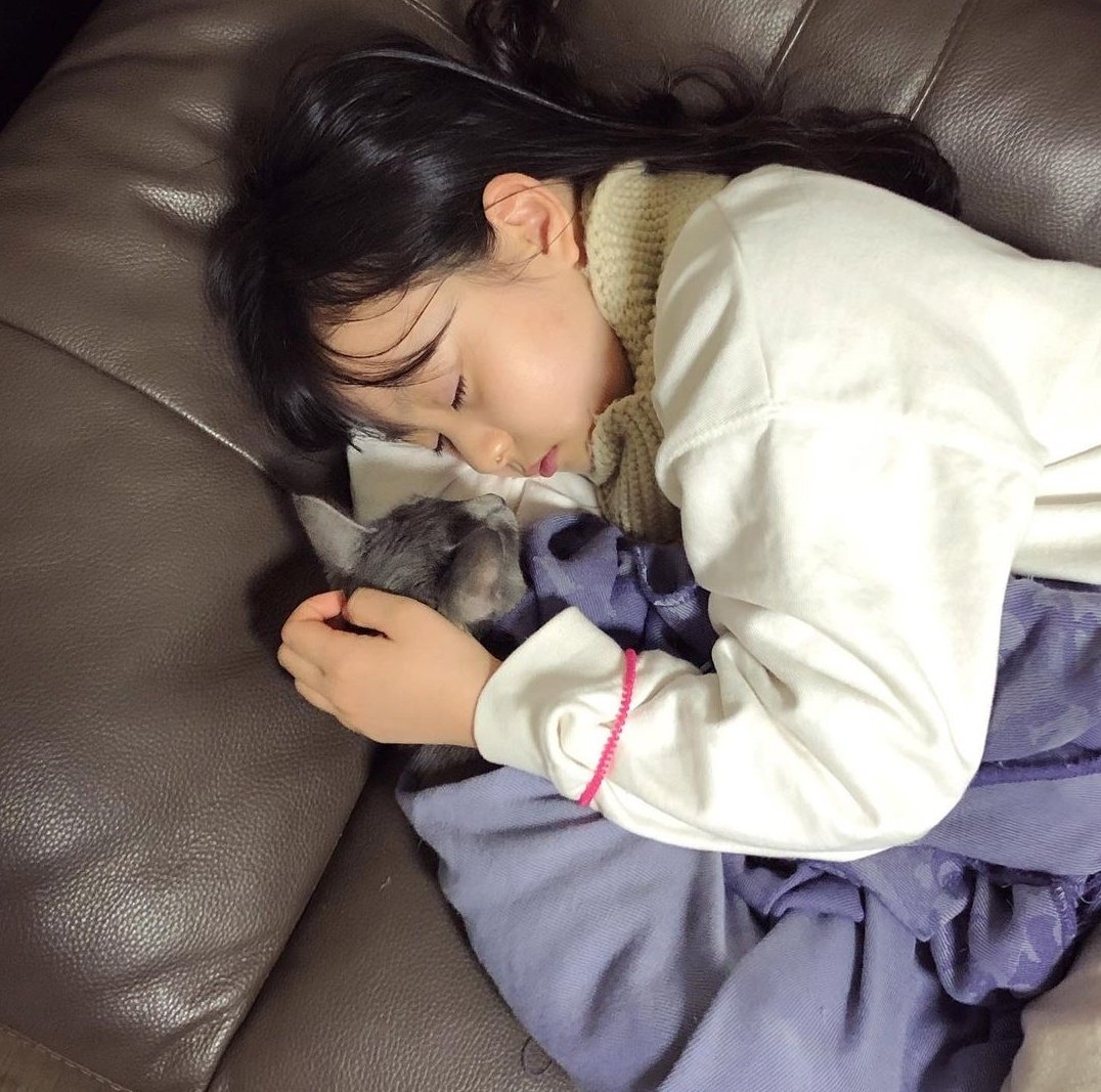 GERVAITY's tweet photo. ㅤ

ㅤㅤits already late, and there's Bulan while hug Komeng tightly had a deep sleep at the sofa. Im pretty sure they are waiting for me to come. Maaf ya nak, Ayahnya abis party. So start from now on the three of us will sleeping side by side and hugging each other.

ㅤ https://t.co/yg4PRU4fpg