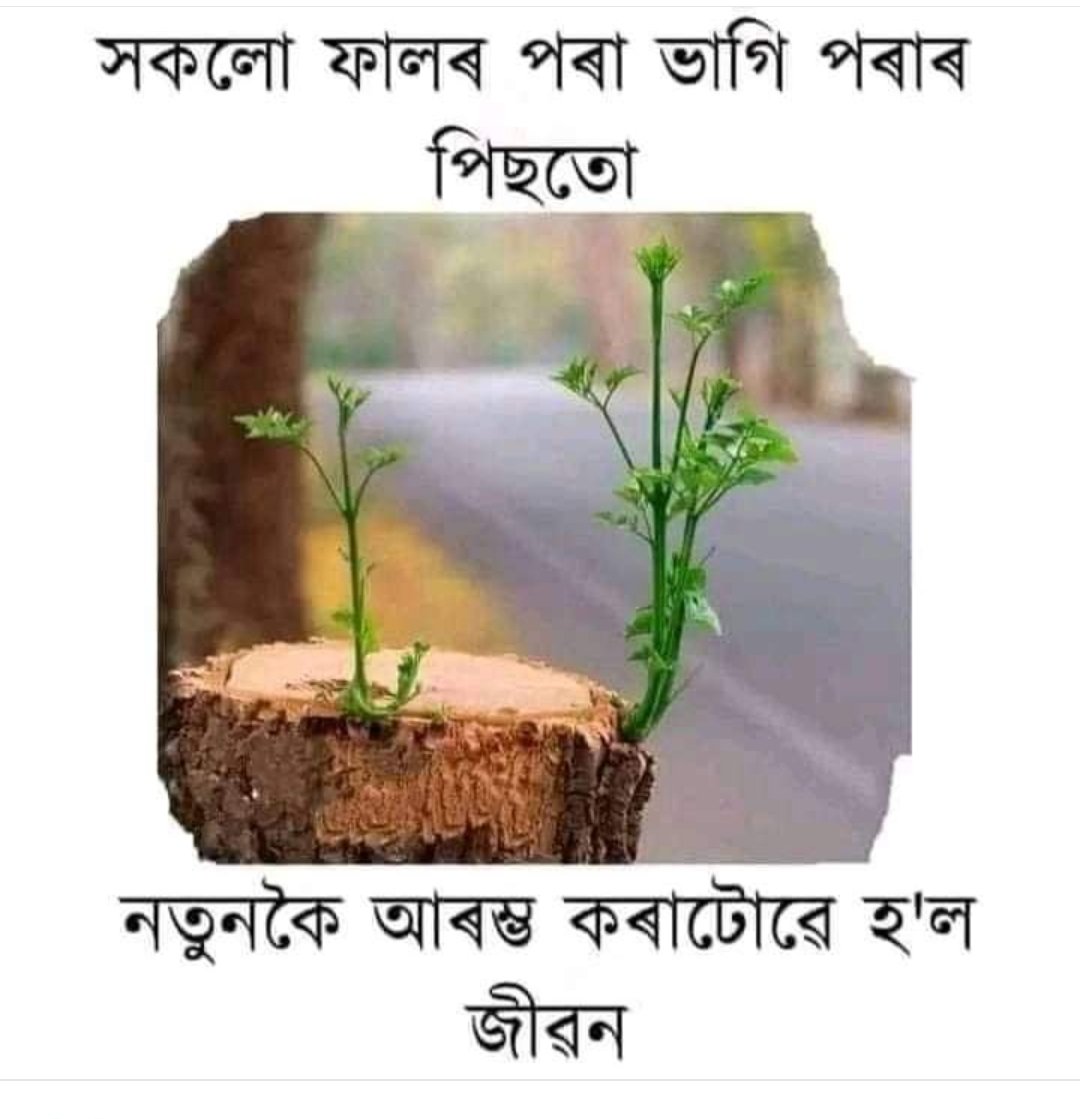 B99861963Masuda's tweet photo. # প্রয়োজন মাথোঁ ধৈর্য্য ৰ। 🌸🥀🌹🌸 https://t.co/cPFkOa9dQ0