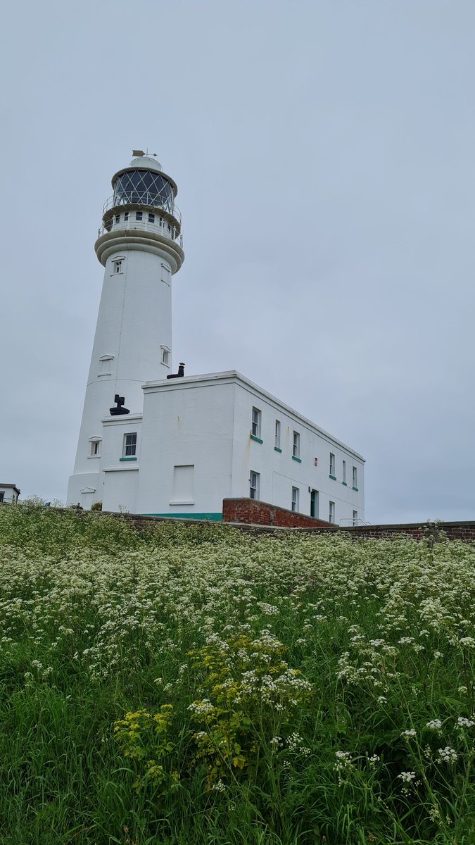 A little bit of seal and puffin spotting... and a nice lighthouse for good measure. #Flamborough