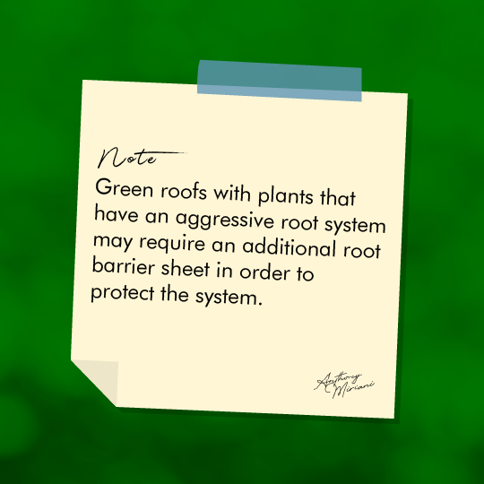 Note: Green roofs with plants that have an aggressive root system may require an additional root barrier sheet in order to protect the system.

#IPP #instacoatpremiumproducts #greenroofs #vegetativeroofs #livingroofs #roofrestoration #commercialroofing #ecofriendly