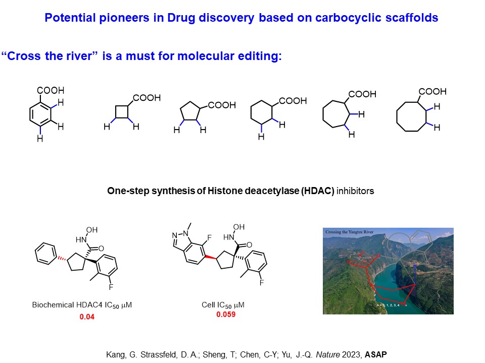 Distance &amp; geometry is emerging as key principle for ligand design to lower prohibitive TS. Molecular editing of saturated rings is made possible. Nature asap: rdcu.be/ddrPV. Licensed to the newly founded ArCHitect Therapeutics.