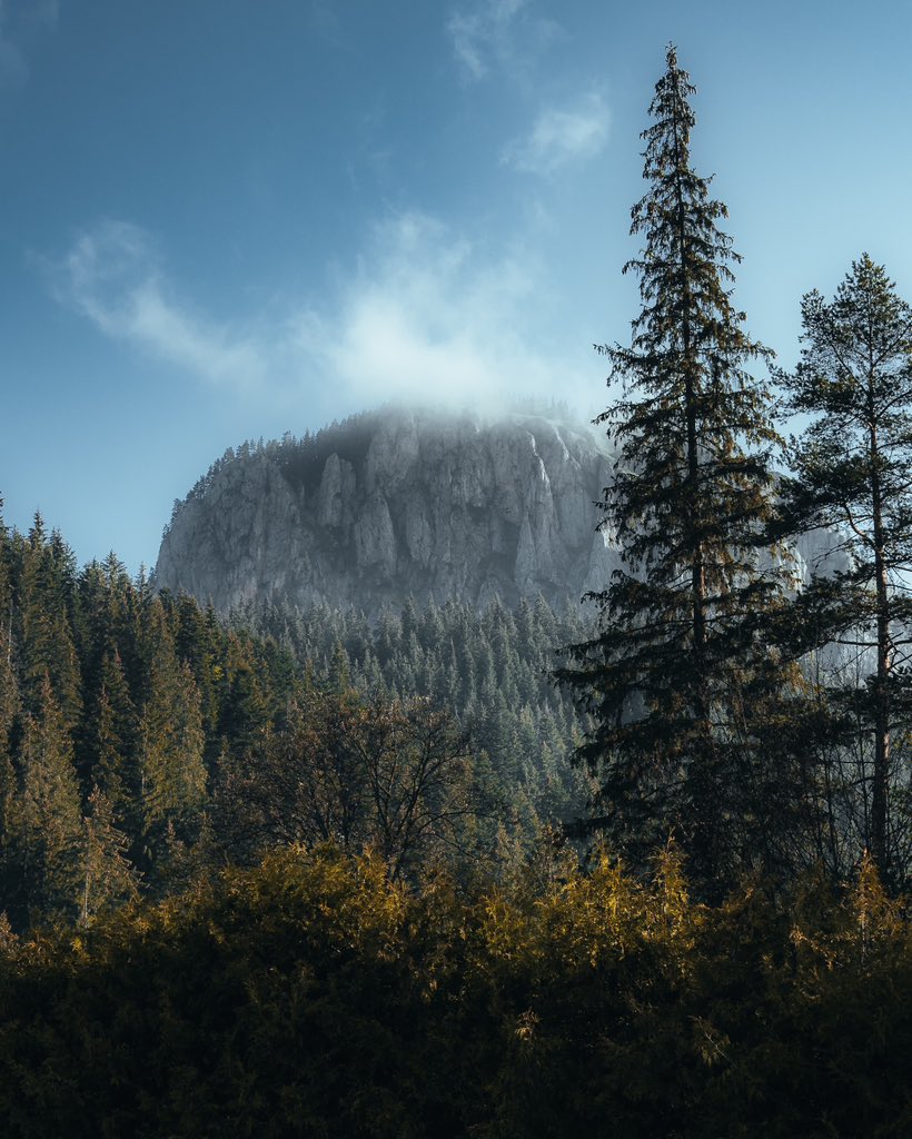 gonewithshaun tweet media