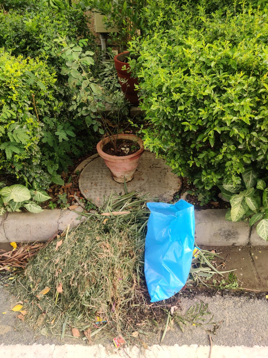 SethiRuchikaT's tweet photo. @CPCB_OFFICIAL
@DrGargava
#ECommerce companies were directed to cut back #secondarypackaging &in particular #plasticbags
However @Milkbasketin continues to use #plasticbags for #homedeliveries
Pls takeaction&stop this #plasticpollution
#SWMWoes
@pcmeenaIAS @MunCorpGurugram https://t.co/YPl2YdQmDG