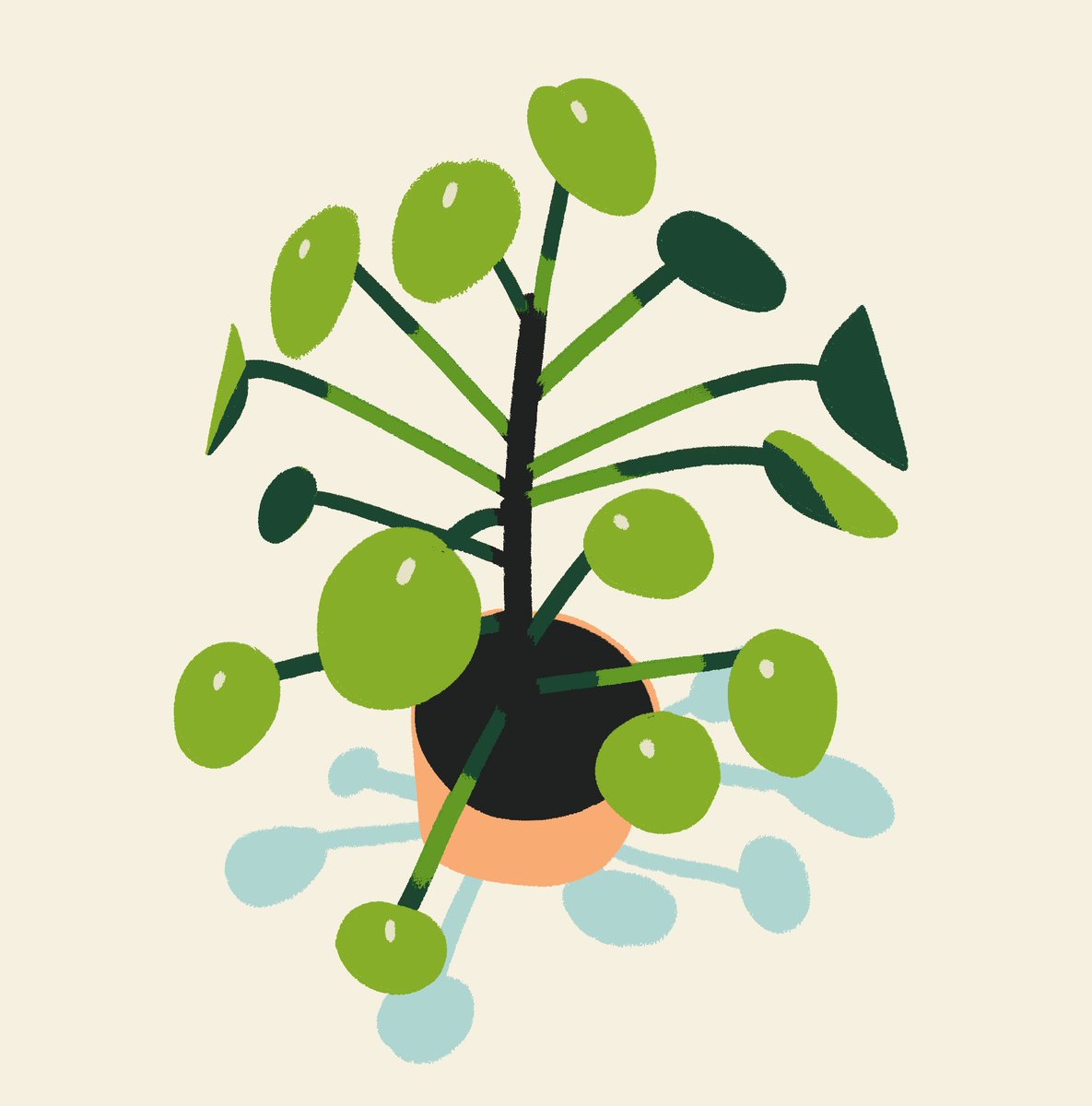 「Drew this very leggy office plant in abo」|Lydia Hill🍃のイラスト