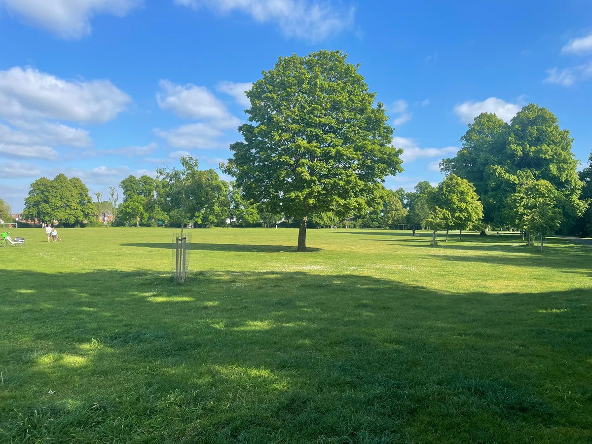 devadam88's tweet image. Day 10 of #100DaysOfRunning

Enjoyed a nice sunny run. Getting closer to 2K now.