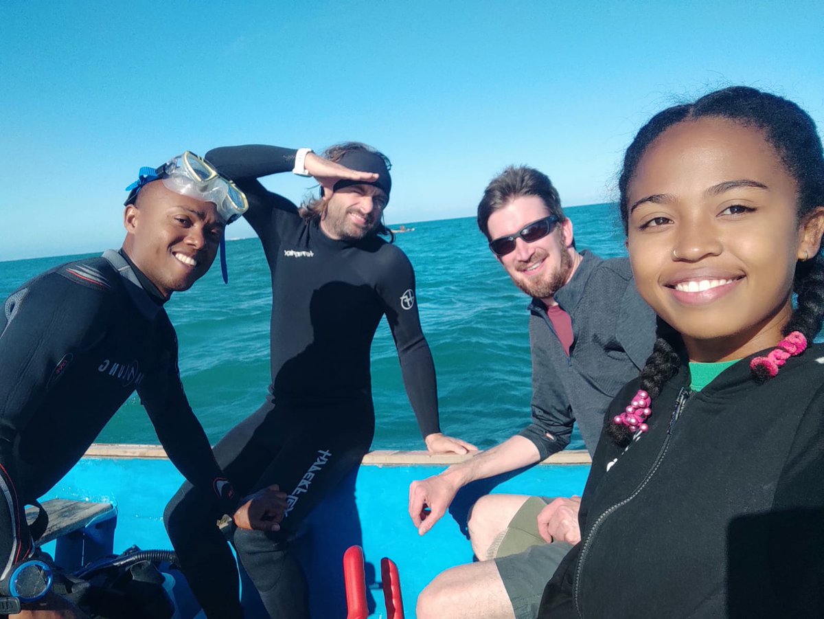 Aaron Hartmann tweet media