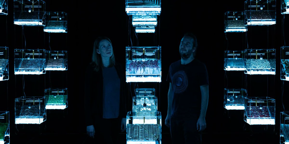 #Artificialintelligence and #ChatGPT are part of the question "Who owns the truth?" that this year's Ars Electronica Festival is addressing. Learn more here: ars.electronica.art/aeblog/en/2023… #arselectronica23 #whoownsthetruth