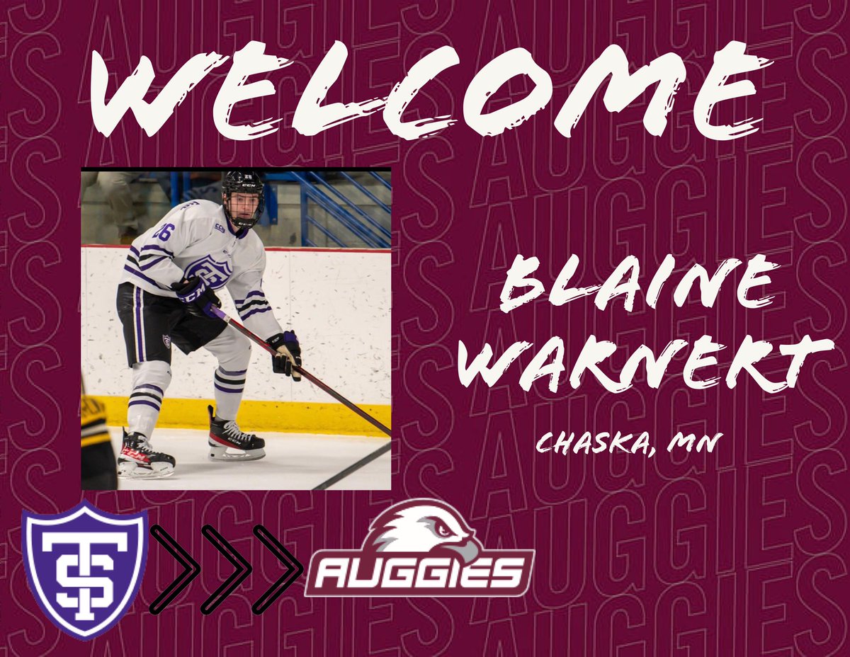 Augsburg Men's Hockey tweet media