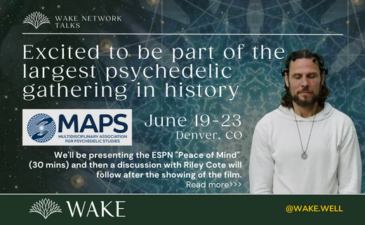 Wake Network tweet media