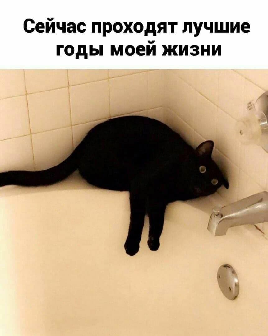 Redacción - ¡Cientos de comas vocativas mueren cada día en los memes!  ☠️☠️☠️ \, image size:862x1080