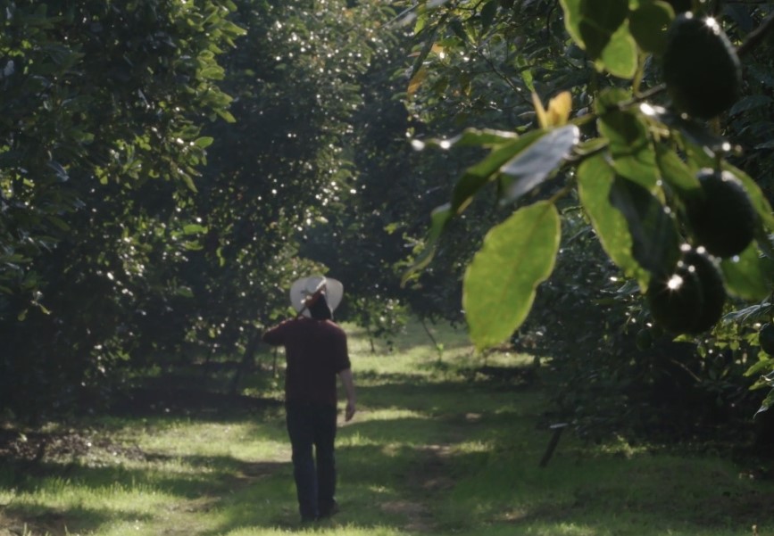 iCowVideo's tweet image. Or team and @CostaVida embarked on a journey to capture the essence of the “Avocados” spot in the beautiful city of Morelia, Mexico.

Full blog: icow.tv/costa-vida-mex…

Visit icow.tv for more info. #videoproduction