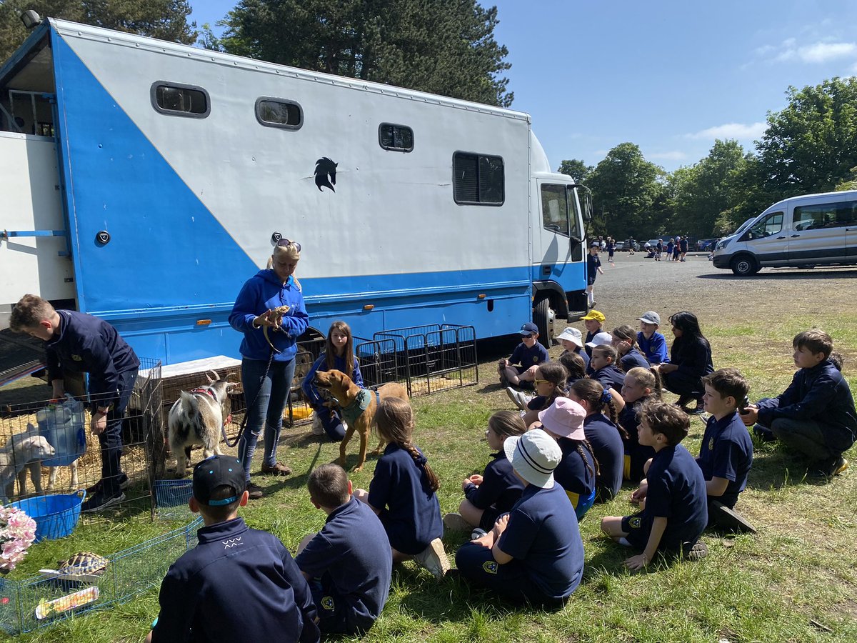 fernhillp4's tweet photo. Always love a visit from Hooves &amp; Paws. The children are just so gentle, loving and compassionate to the animals who in turn enjoy a bit of a fuss! Beautiful to see. 🥰 #compassion #courage https://t.co/kBWK3cxWqY