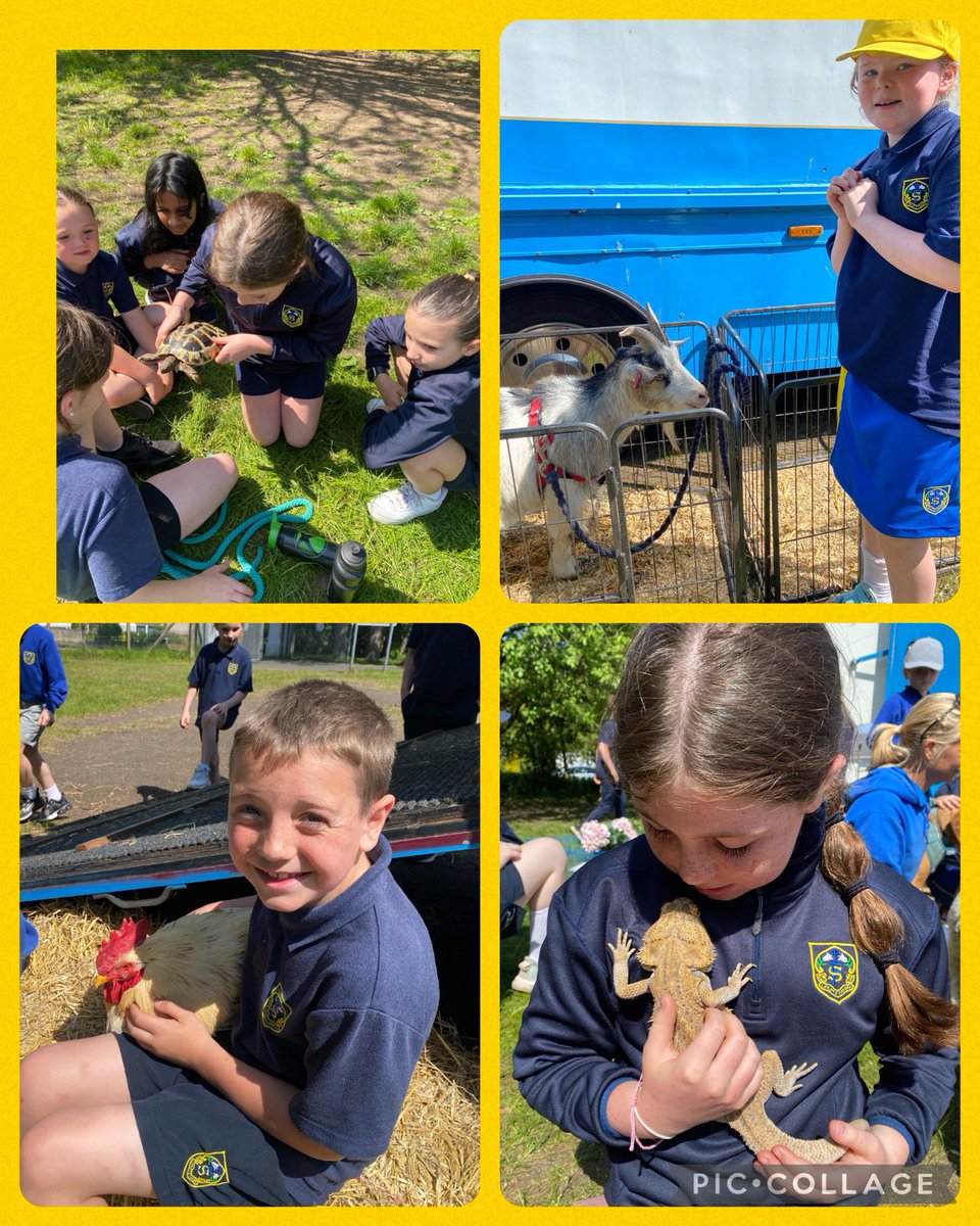 fernhillp4's tweet photo. Always love a visit from Hooves &amp; Paws. The children are just so gentle, loving and compassionate to the animals who in turn enjoy a bit of a fuss! Beautiful to see. 🥰 #compassion #courage https://t.co/kBWK3cxWqY