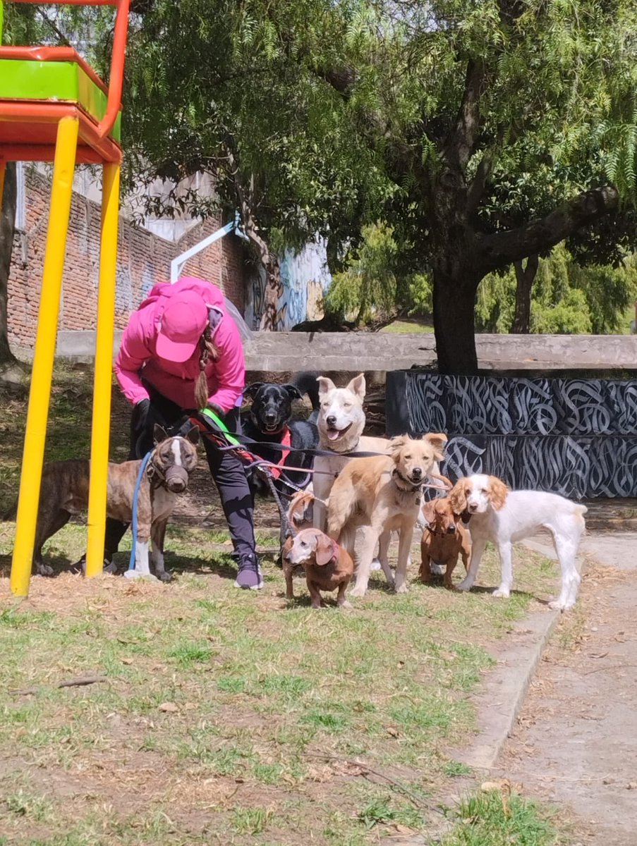 Jonnathan Carrera tweet media