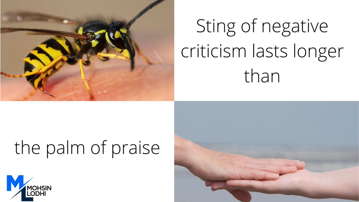 Mohsin Lodhi (@mohsinlodhi15) on Twitter photo 