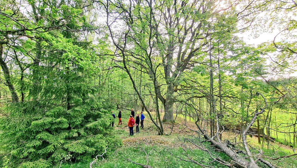🌱Suomen lehdoista on vain rippeet jäljellä ja niistäkin monessa tarvitaan luonnonhoitoa. 
" #HelmiOhjelma'n &amp; #MetsoOhjelma'n rahoittama #lehtohelmet -hanke on tehnyt raudanlujaa työtä lehtojen luonnonhoidon, tunnettuuden &amp; suojelun eteen" totesimme hankkeen retkeilyllä.