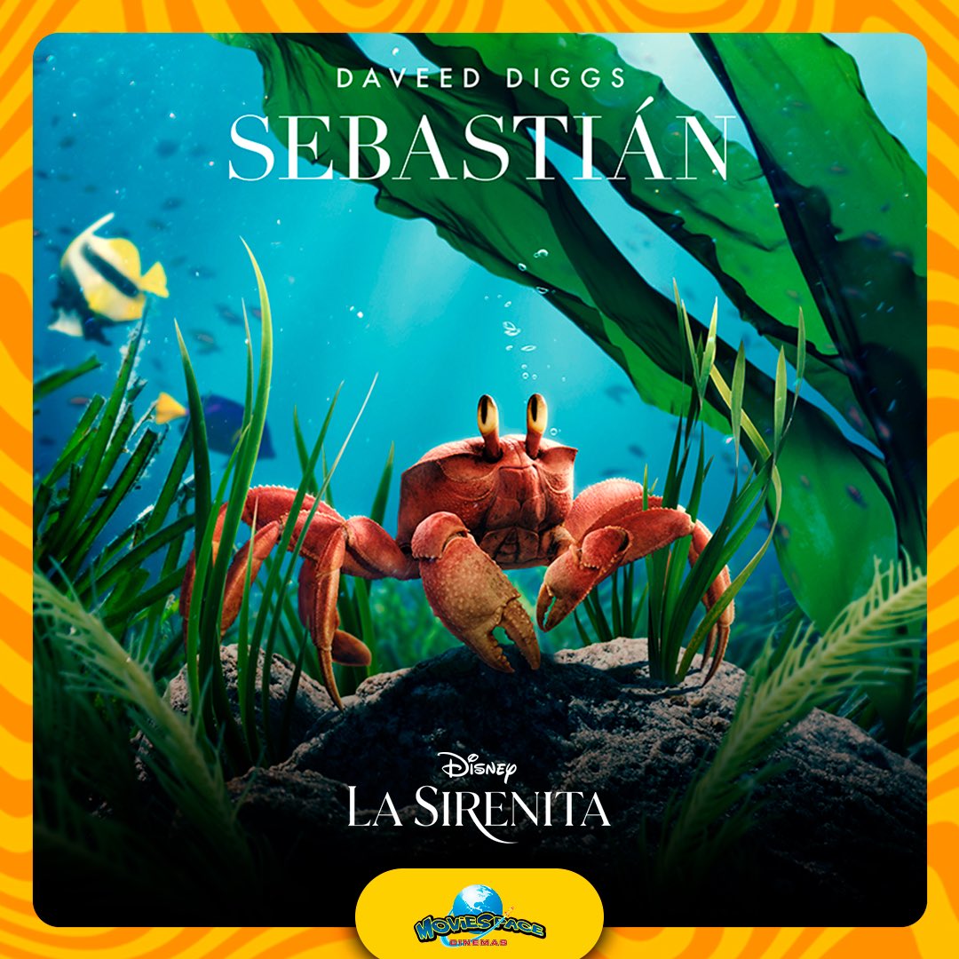 mscinemas's tweet photo. ¡Este #MiércolesDeCine reúne a tu grupito🦀🐠🪿 y vente a ver #LaSirenita a #MovieSpace! 🧜🏽‍♀️🍿🥤🚀

🌟 HOY todas las PELIS 2D $35 y 3D $45 pesitos 🌟

Compra tus 🎟️ en taquilla y en:
🫧 https://t.co/jI1AeqrP8x 🫧 https://t.co/Gi644kCKoF