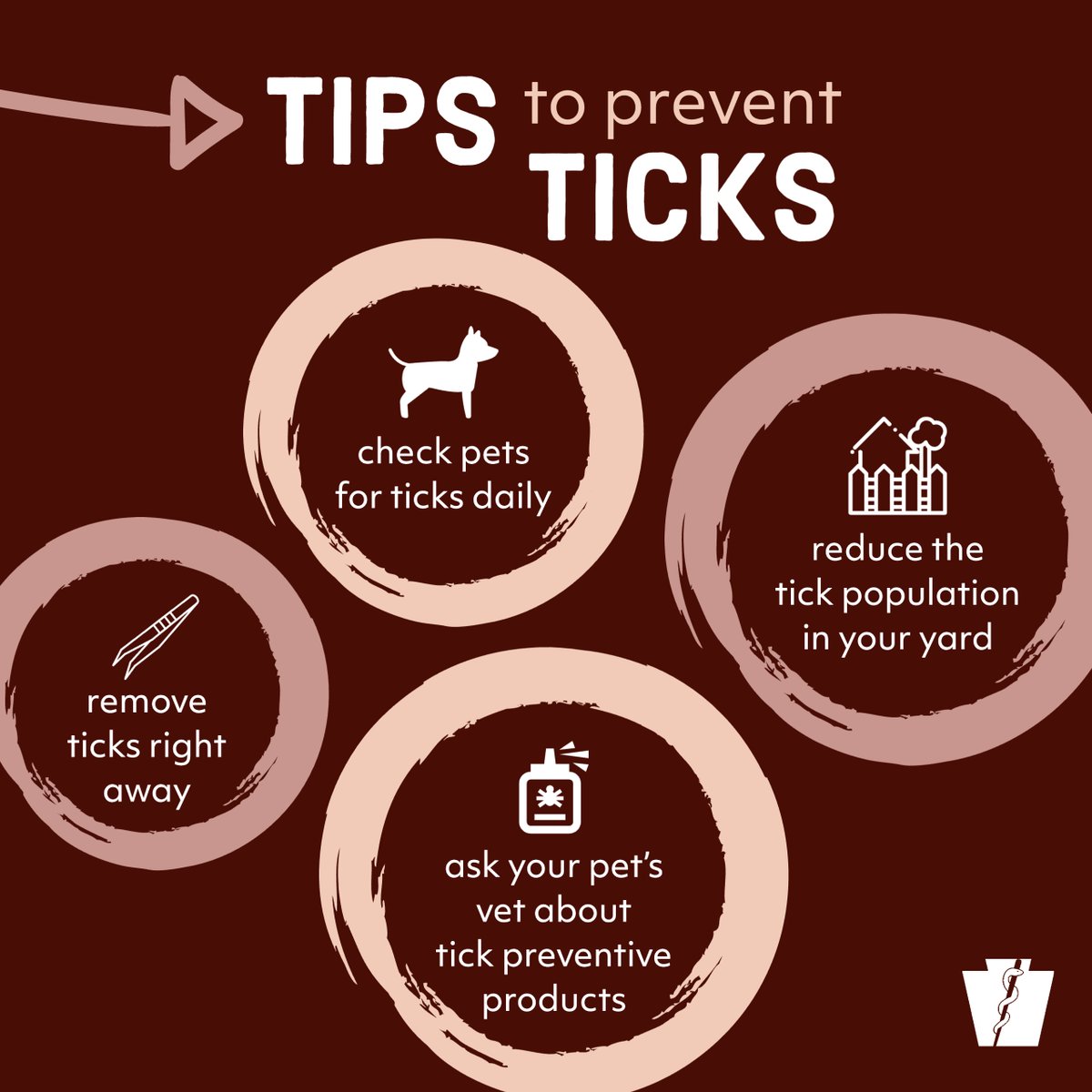 PA Department of Health on Twitter "Your pets can bring ticks + Lyme