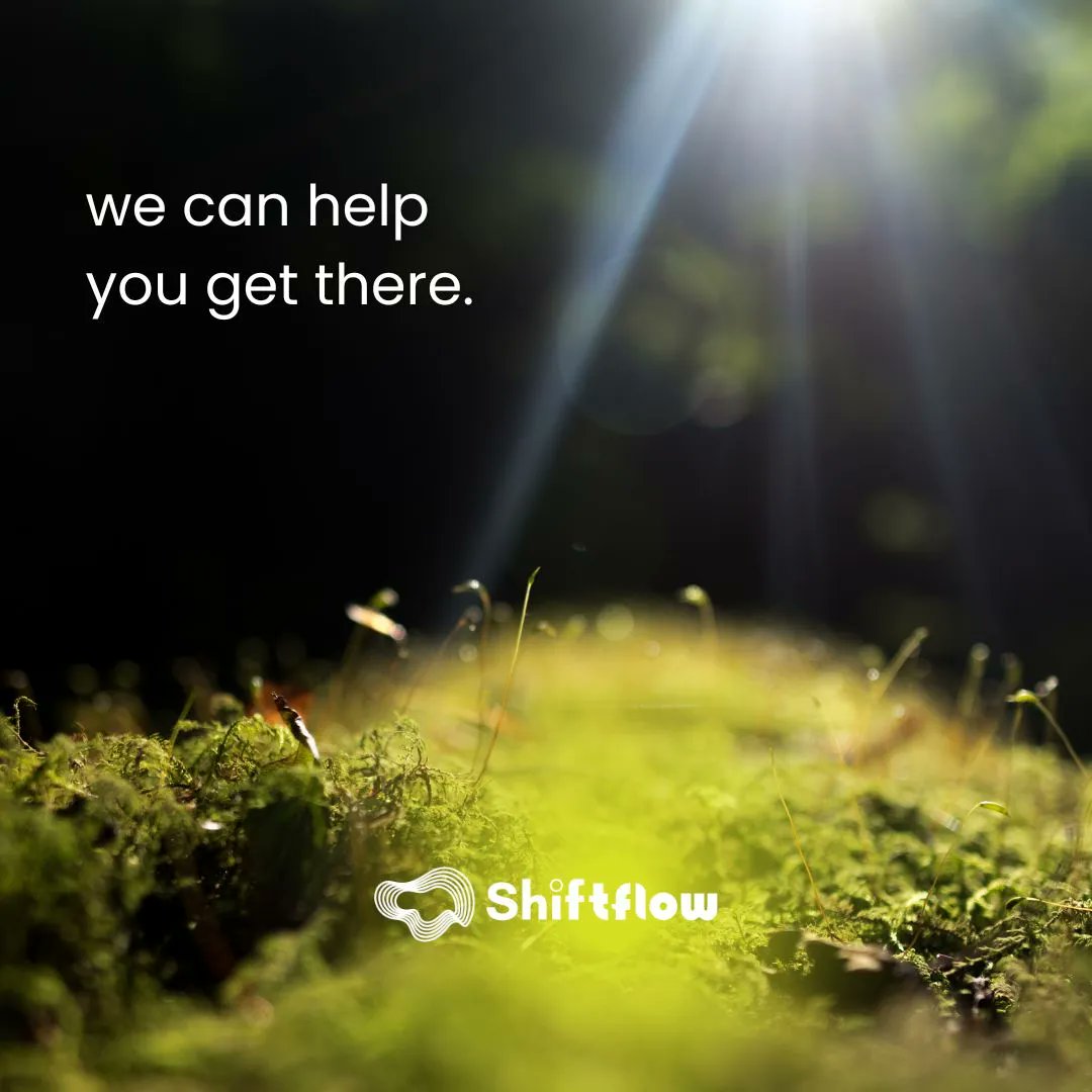 At #ShiftFlow, our thought is that to deliver life-affirming services, we need to build life-affirming organizations. ...and in order to build life-affirming organizations, we need to nurture life-affirming practices in teams. We can help.