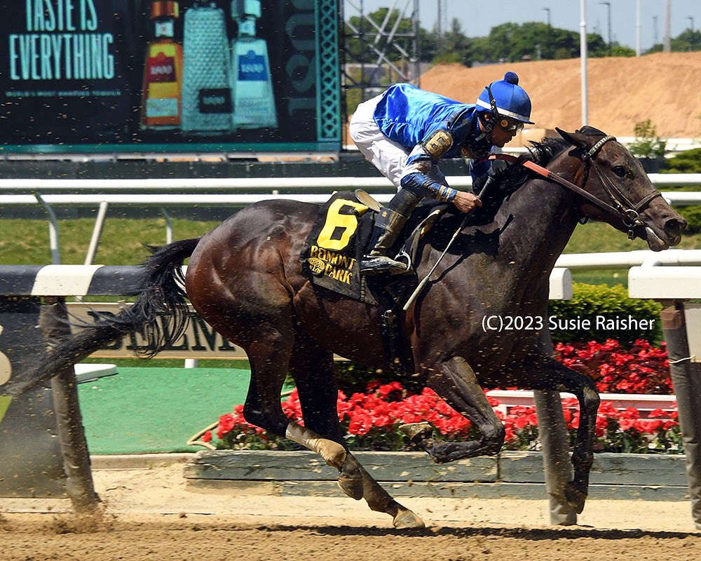 Jrmx2_'s tweet image. Living my dream
#TeamGodolphin