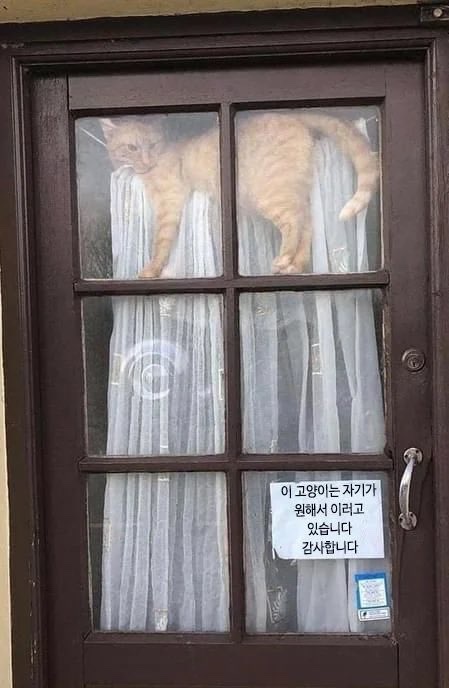 raichuyapp's tweet photo. 호치즈 https://t.co/HpT3WGy7Dp