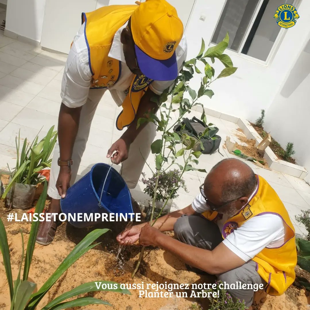 LC_NkcDoyen's tweet photo. Le #challenge se poursuit. Protégeons notre #environment #Mauritania #weserve #ecologie @lionsclubs @hacenomz1 @yamlikakane20 @yasser76 @Djisa357 @daikiteyacouba https://t.co/OaBMQuco32