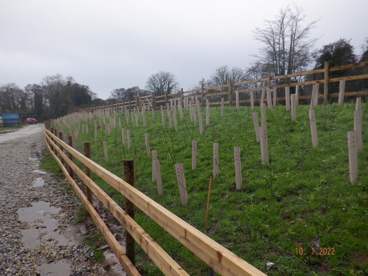 St Austell Bay Resilient Regeneration (StARR) Proj (@starrscheme) on Twitter photo Only seems like yesterday since 2022 <a href="/BIGbiodiversity/">the BIG Challenge</a> Awards 🏆
#flood #biodiversity #BIGAwards
2023 entries open now ⏬
ow.ly/77Rm50OAwgR
<a href="/kierconstruct/">Kier Construction</a> <a href="/CORMACltd/">CORMAC</a> <a href="/CornwallCouncil/">@cornwallcouncil</a> <a href="/EnvAgencySW/">Environment AgencySW</a> <a href="/SouthWestWater/">South West Water</a> <a href="/WestcountryRT/">Westcountry Rivers Trust</a> <a href="/UniofExeterESI/">Uni of Exeter's ESI</a> <a href="/PaulineGiles/">Pauline giles BEM</a> <a href="/Ben_J71/">Ben Johnstone</a> Only seems like yesterday since 2022 <a href="/BIGbiodiversity/">the BIG Challenge</a> Awards 🏆
#flood #biodiversity #BIGAwards
2023 entries open now ⏬
ow.ly/77Rm50OAwgR
<a href="/kierconstruct/">Kier Construction</a> <a href="/CORMACltd/">CORMAC</a> <a href="/CornwallCouncil/">@cornwallcouncil</a> <a href="/EnvAgencySW/">Environment AgencySW</a> <a href="/SouthWestWater/">South West Water</a> <a href="/WestcountryRT/">Westcountry Rivers Trust</a> <a href="/UniofExeterESI/">Uni of Exeter's ESI</a> <a href="/PaulineGiles/">Pauline giles BEM</a> <a href="/Ben_J71/">Ben Johnstone</a>