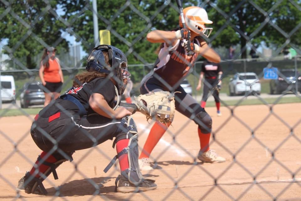 Alyson Lee tweet media