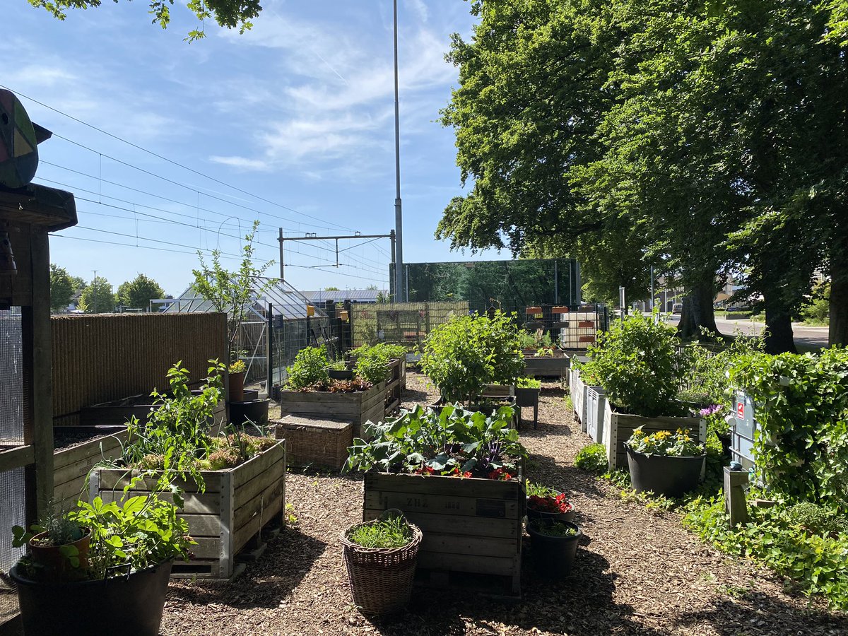 LintermansM's tweet image. Wij van het Stationspark Deurne doen mee aan de appeltjes van oranje. Door middel van dit berichtje wil ik vragen om op ons te stemmen en ons verzoek naar andere mensen te sturen.

 appeltjevanoranje.nl/projecten/stat…