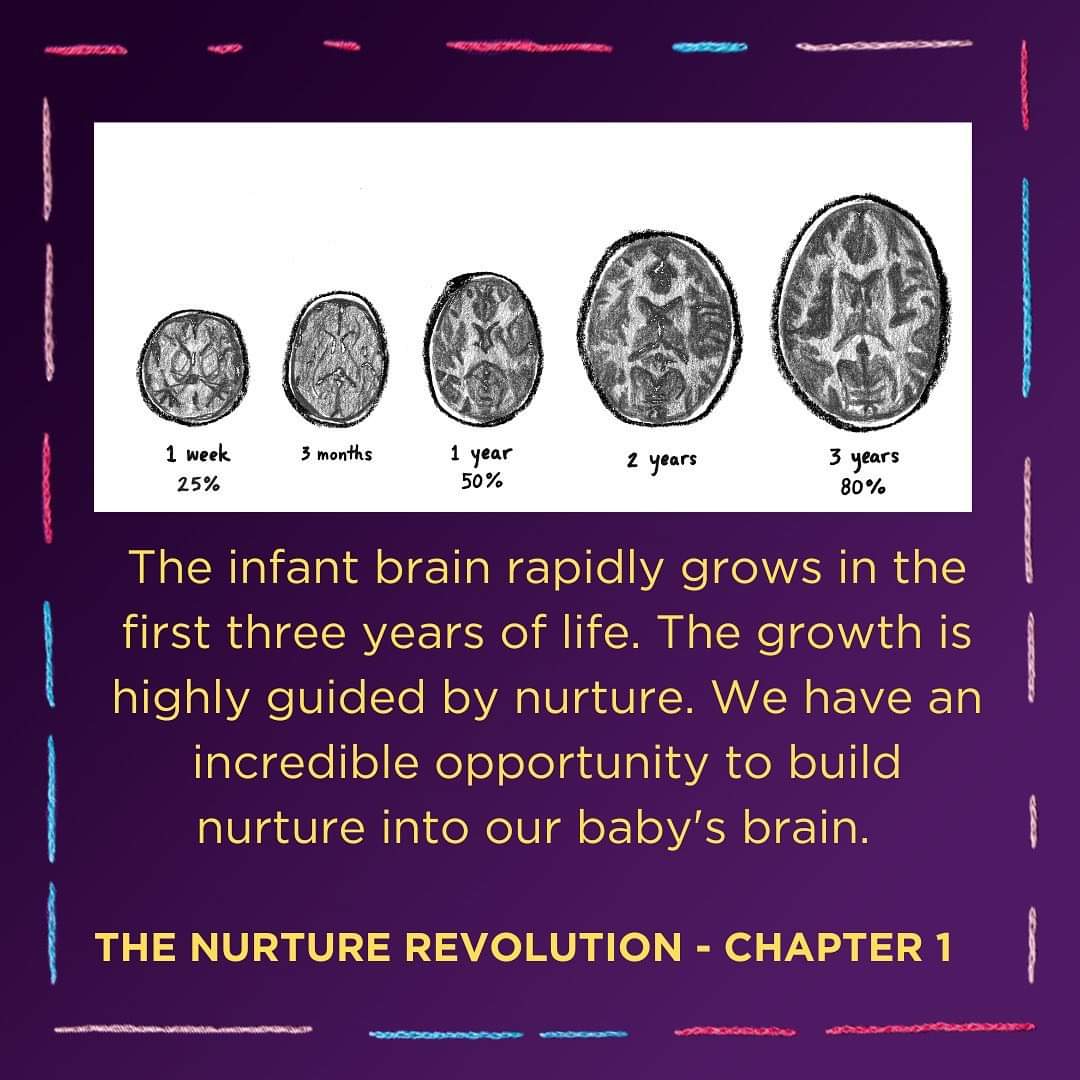 gerrydiamond71's tweet image. Brains are built, not born.
The structure of the brain is built over time from the bottom up.
This process begins in utero and continues into adulthood.
Early nurturing experiences provide the foundation for all future learning, behaviour, and health 🧠🌱