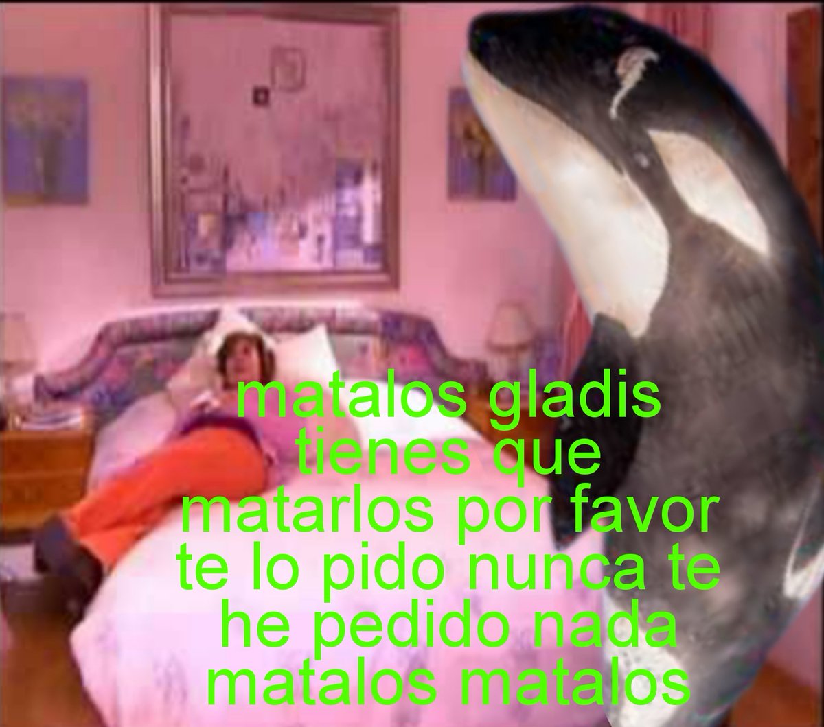 álex tweet media