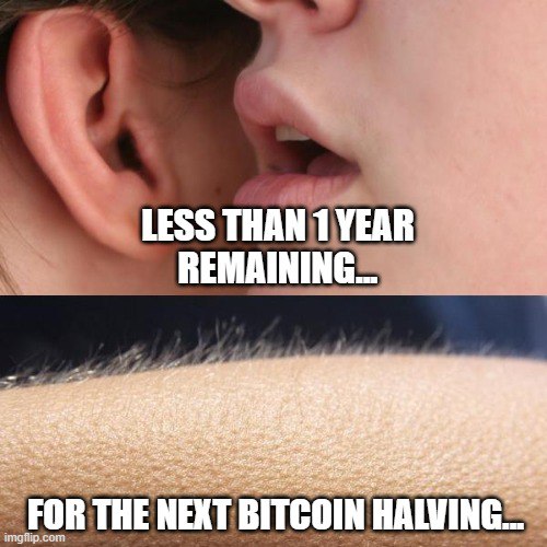 PaolosIntern's tweet photo. CAN WE JUST 🤤
#Bitcoin https://t.co/vrEog0wnMV