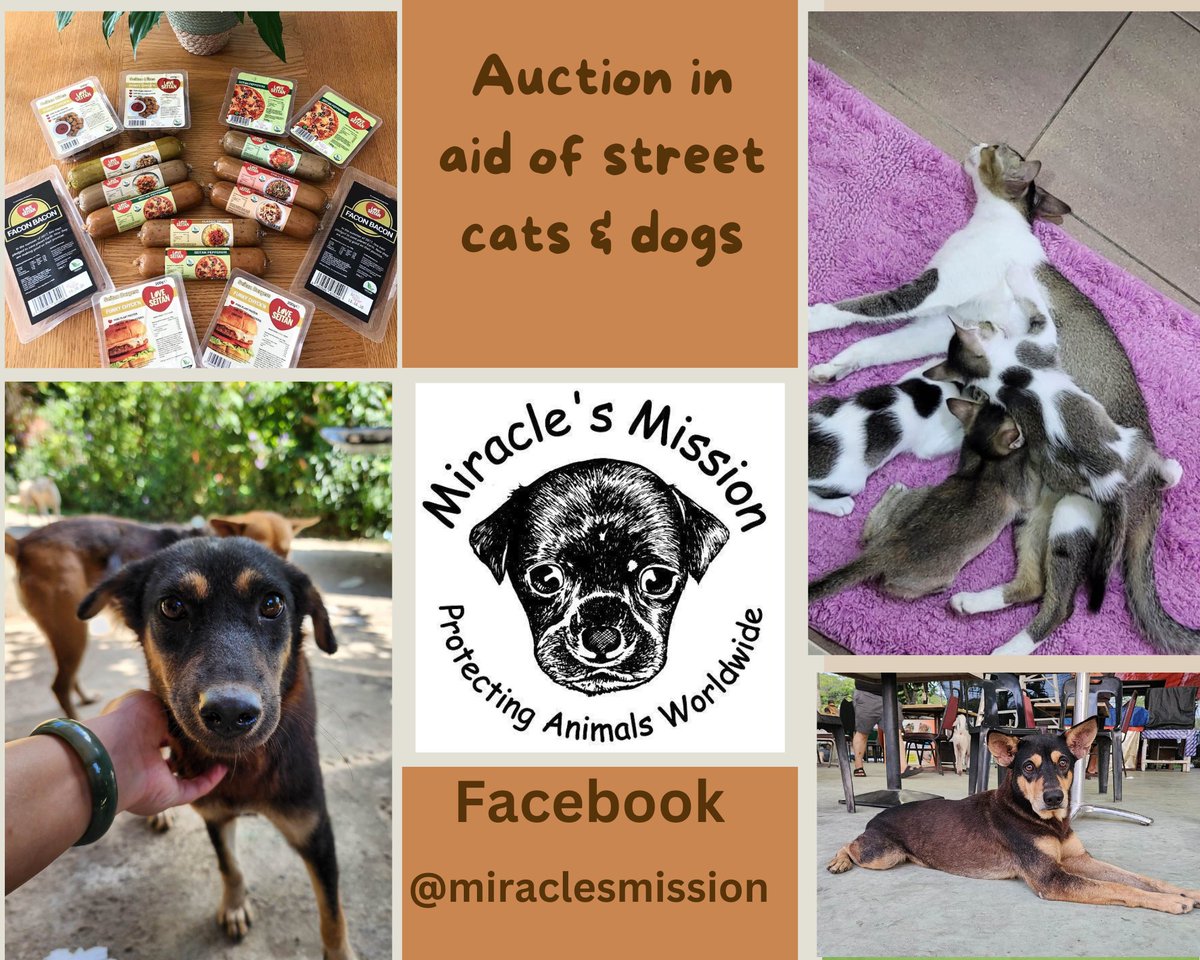 info@miraclesmission.org tweet media