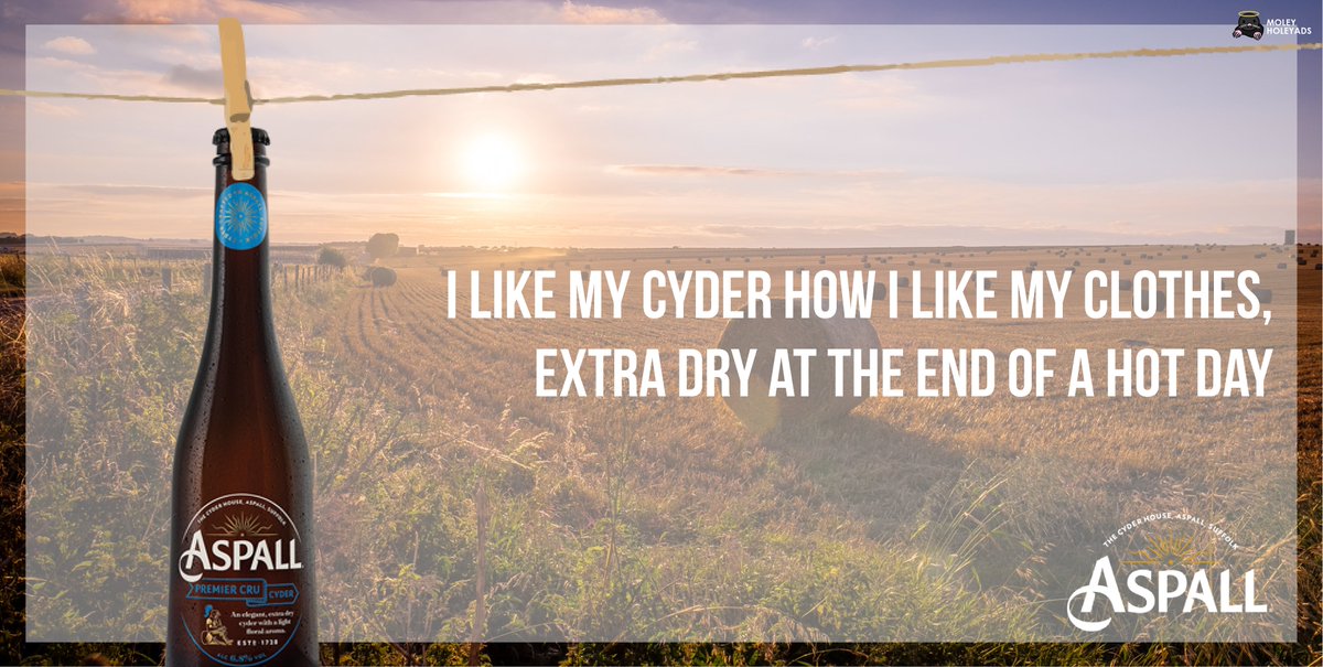 MoleyHoleyAds's tweet photo. (LANDSCAPE VERSIONS) I like my cyder how I like my clothes, extra dry at the end of a hot day ๐๐บ @OneMinuteBriefs #WashingLines @Aspall https://t.co/1DXNW7nNML